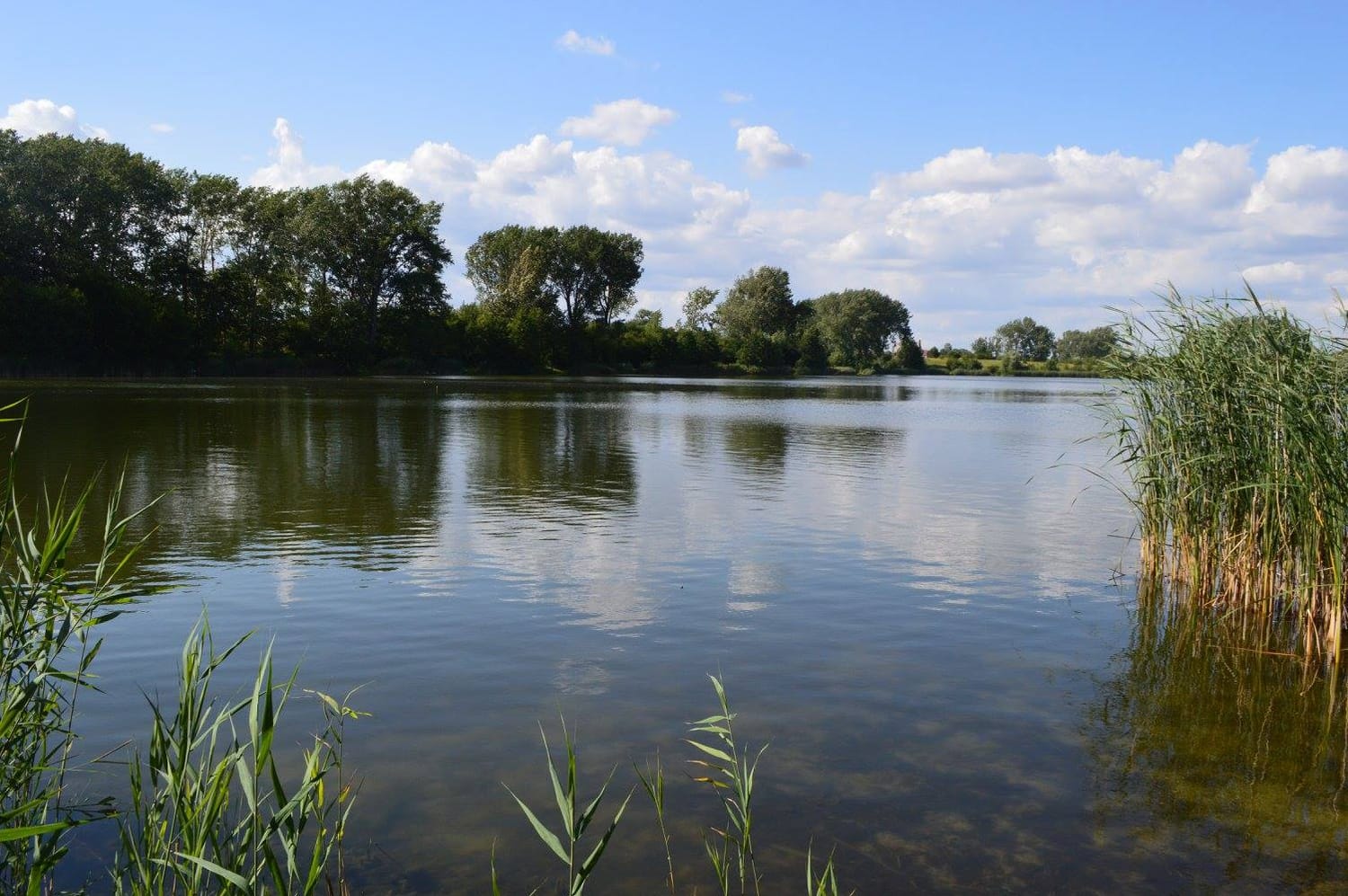 Łowisko Klasztorne