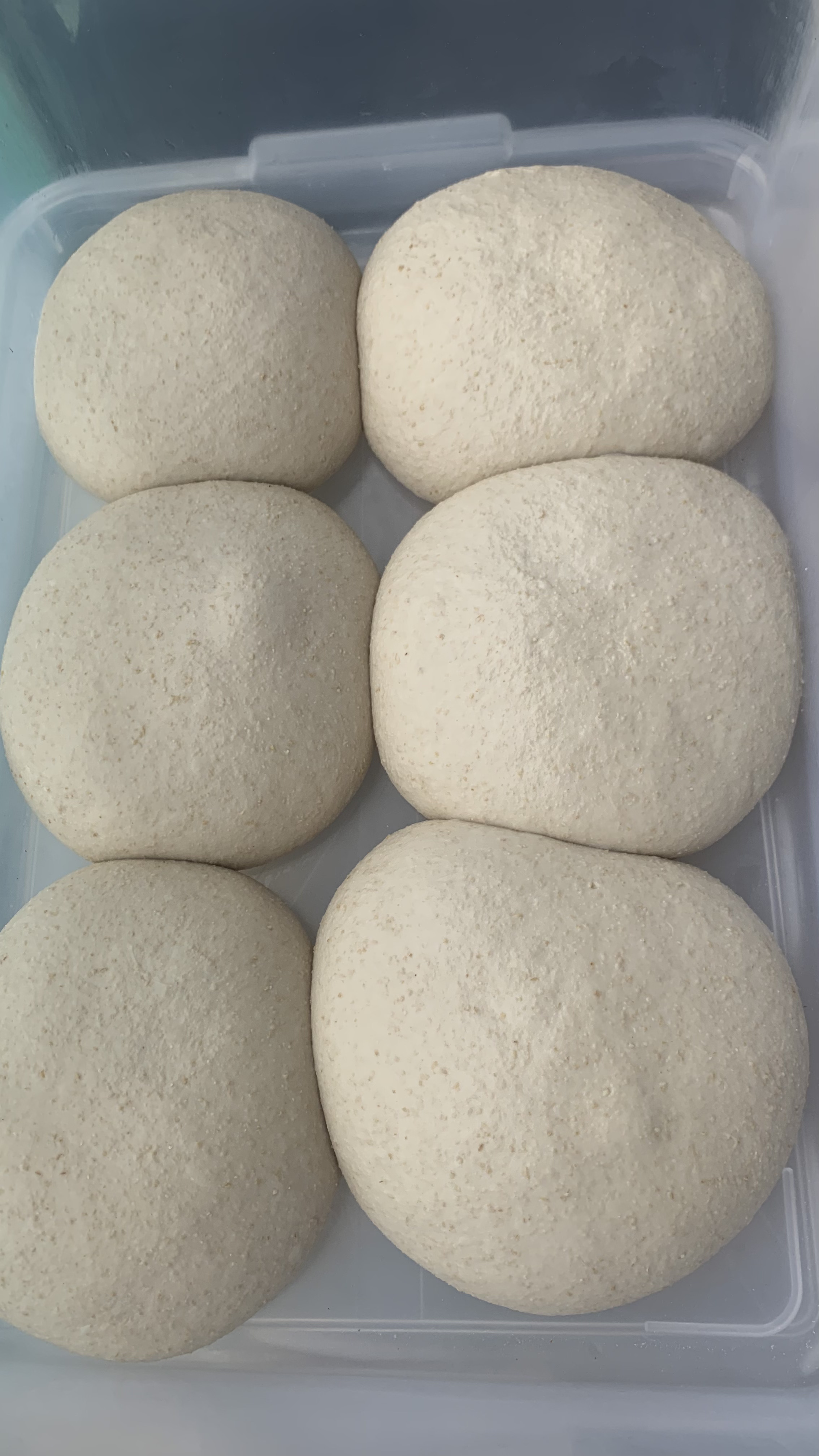 sourdough pizza dough balls
