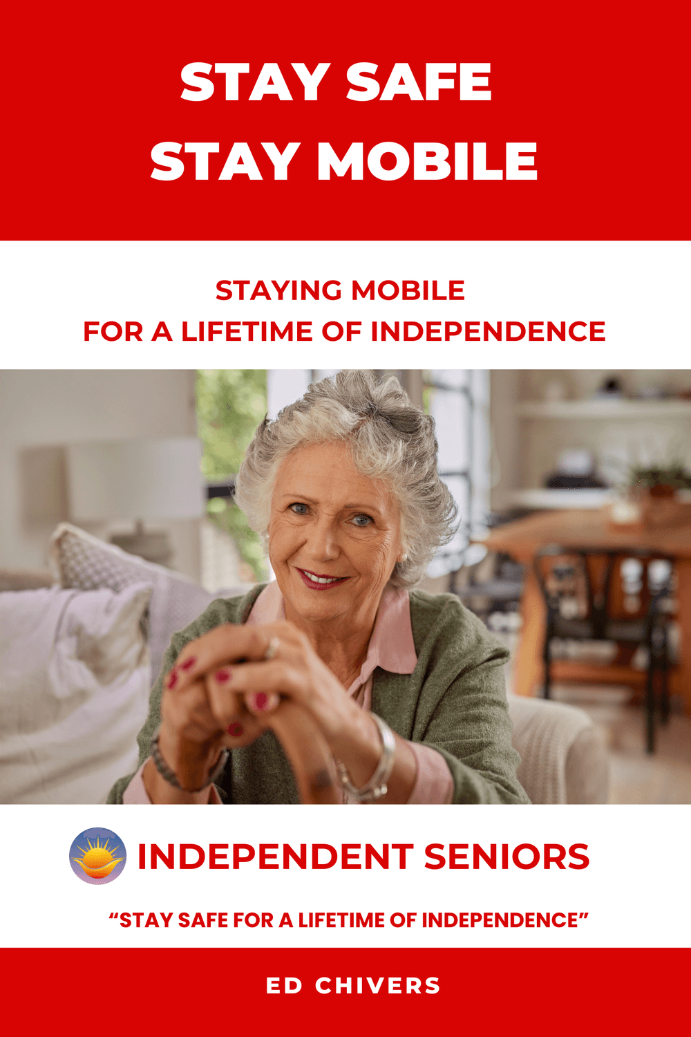 Stay Safe Stay Mobile book cover
