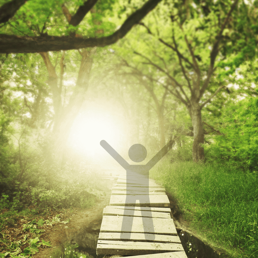 :  🌿 Programme Énergie & Ancrage