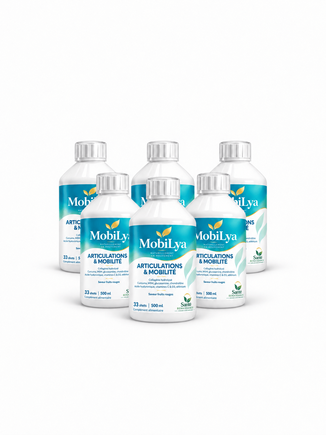 6 bouteilles MobiLya