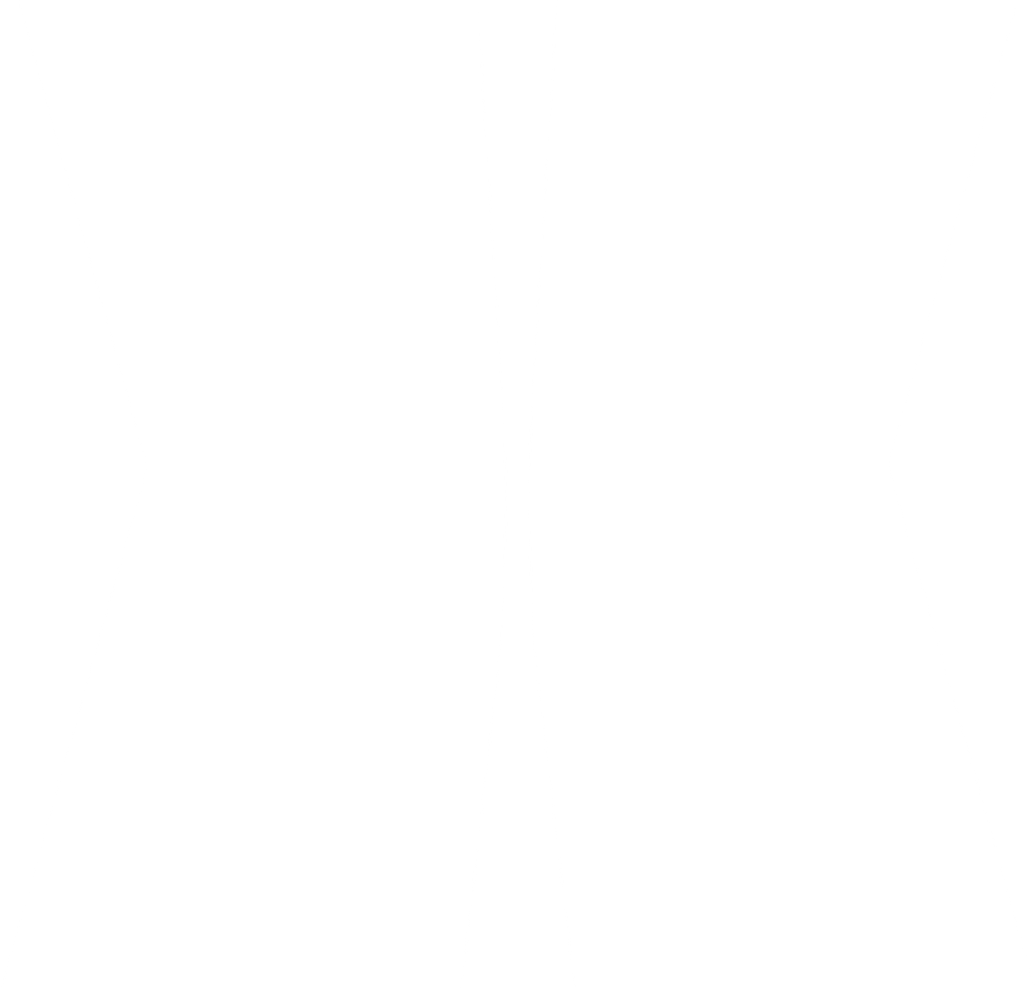 MAXHYBRID Logo X