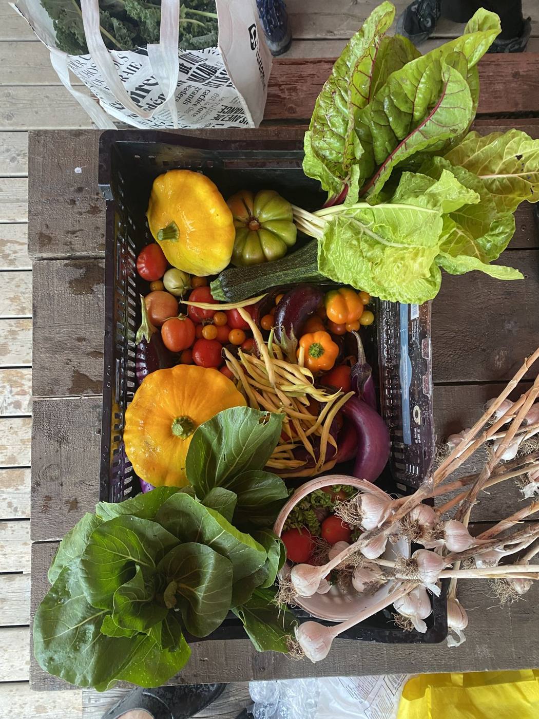 A basket of freshly harvested vegetables