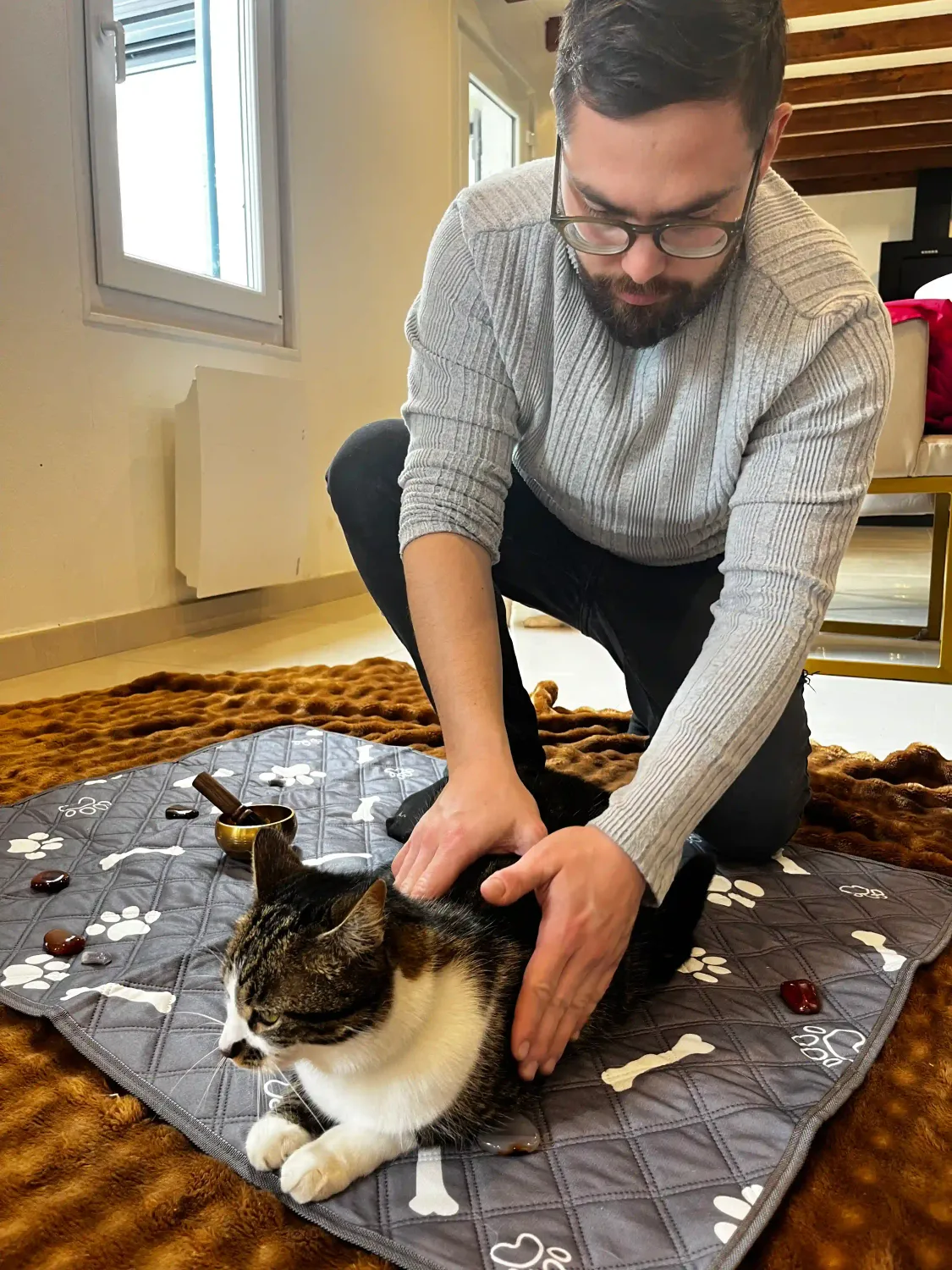 chat adulte-massage-détente