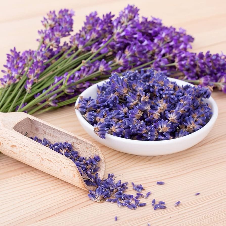 Lavanda