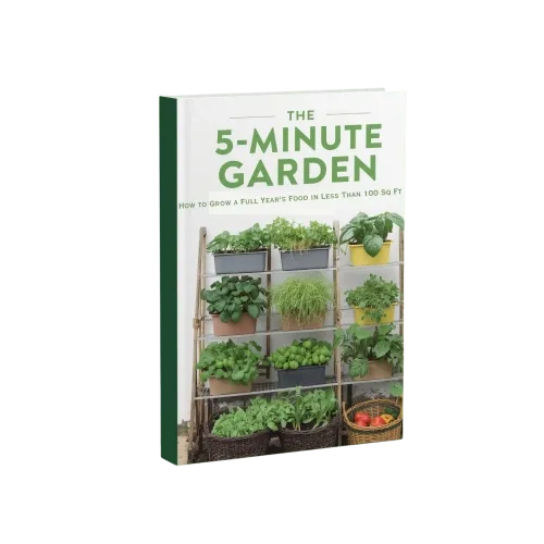 The 5 minute Garden