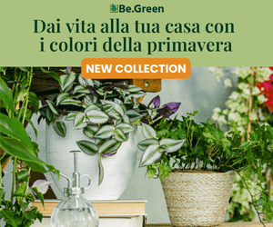 Negozio online di piante: Trova la tua pianta perfetta, curala e crea ambienti da sogno