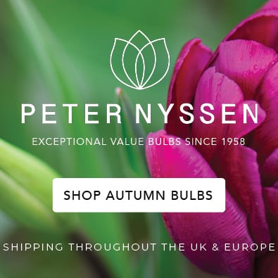 Spring Planting - Summer Flowering Bulbs