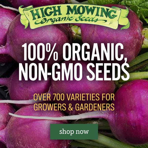 High Mowing Non-GMO Organic Seeds