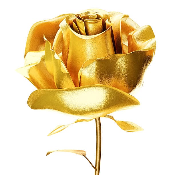 Luxurious 24K Gold-Dipped Roses