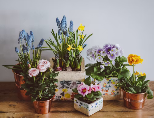 Planting Pots and Containers