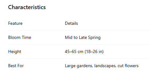 Darwin Hybrid Tulips