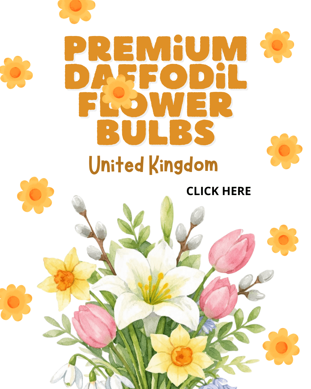 Daffodils After Flowering UK