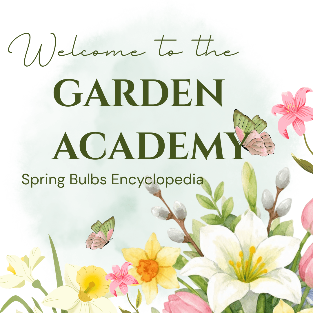 Garden Academy