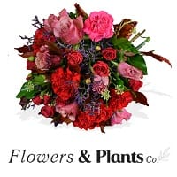 Flowers & Plants