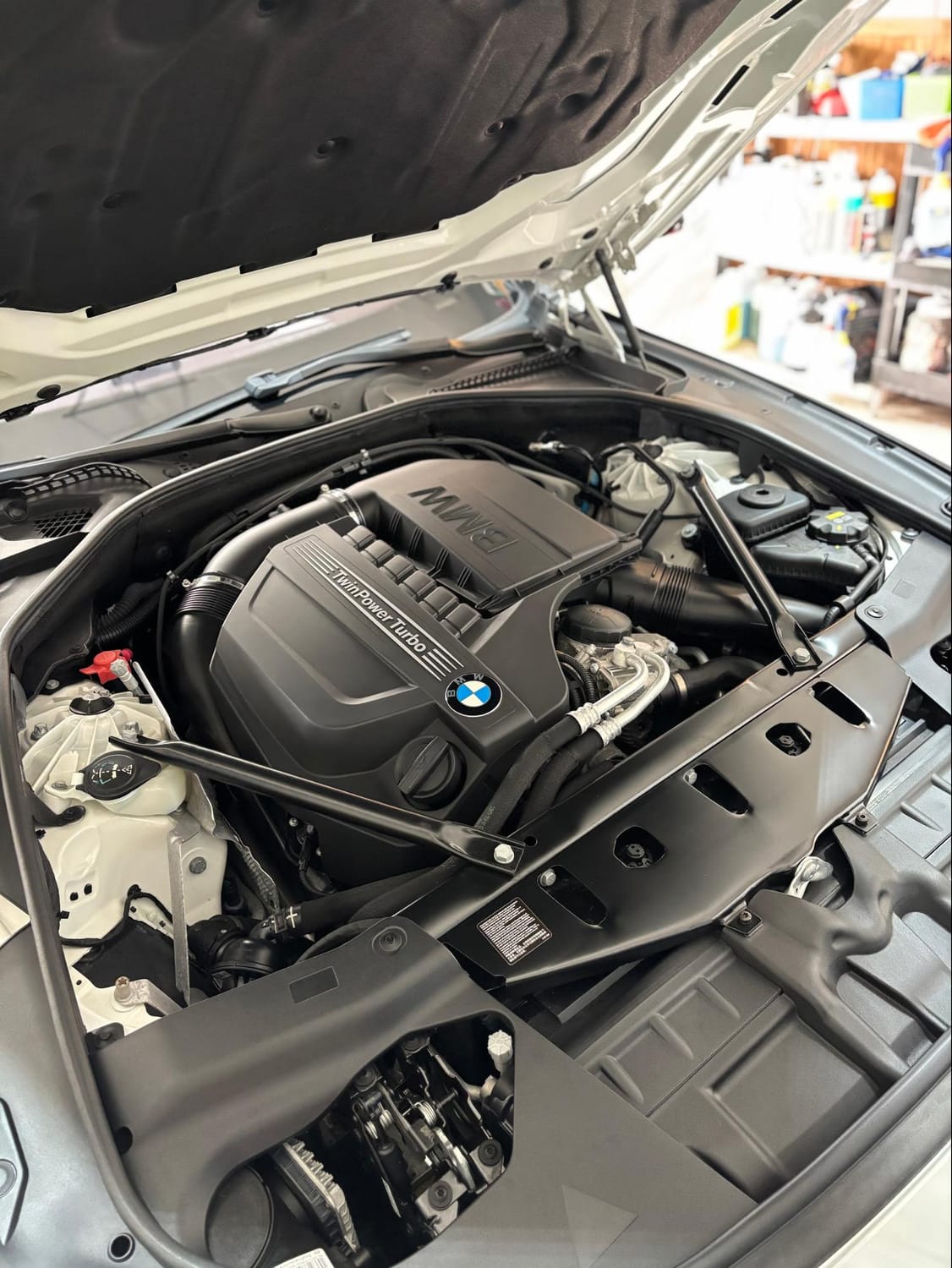 BMW Engine Bay