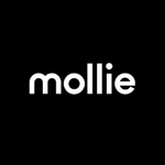 Makkelijk betalen via Mollie