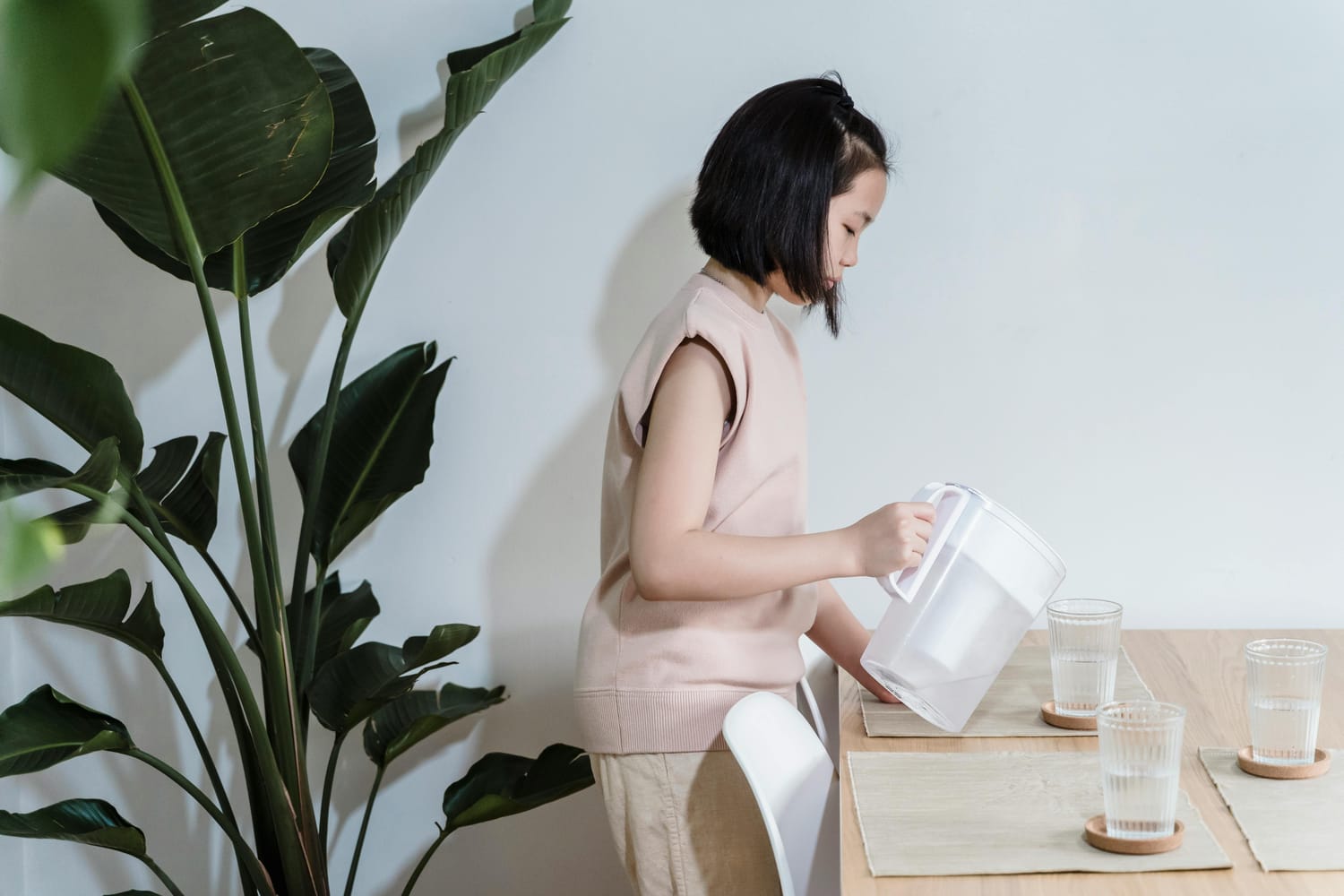 WATER FILTER PITCHER