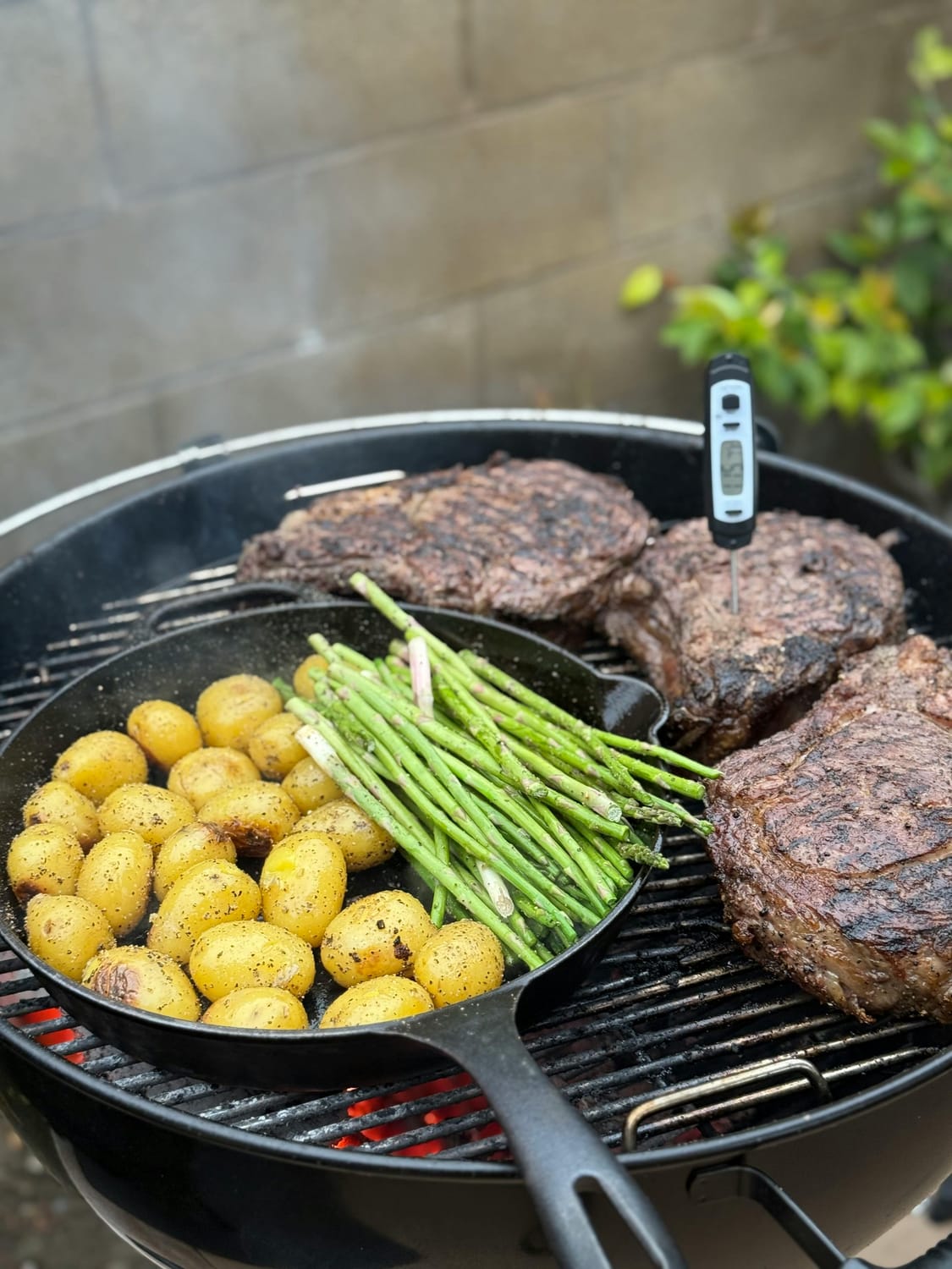 Digital Meat Thermometer