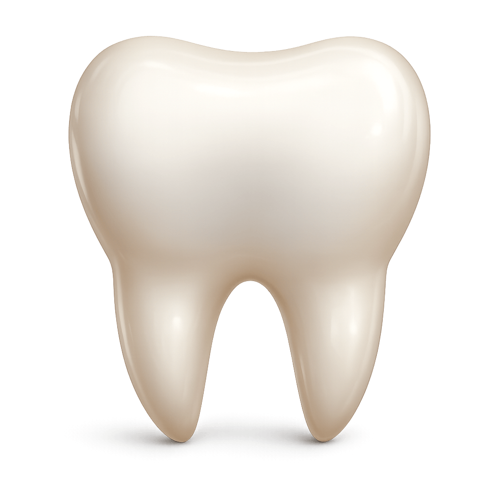 Dental and physiotherapy clinic group — multi-location healthcare practice