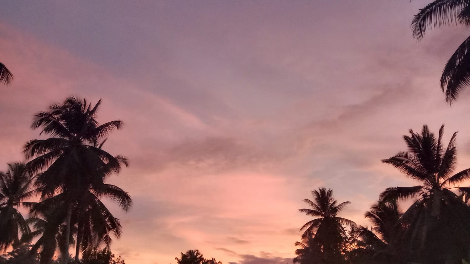 The picture taken by Annelya near her parents's house in the dawn