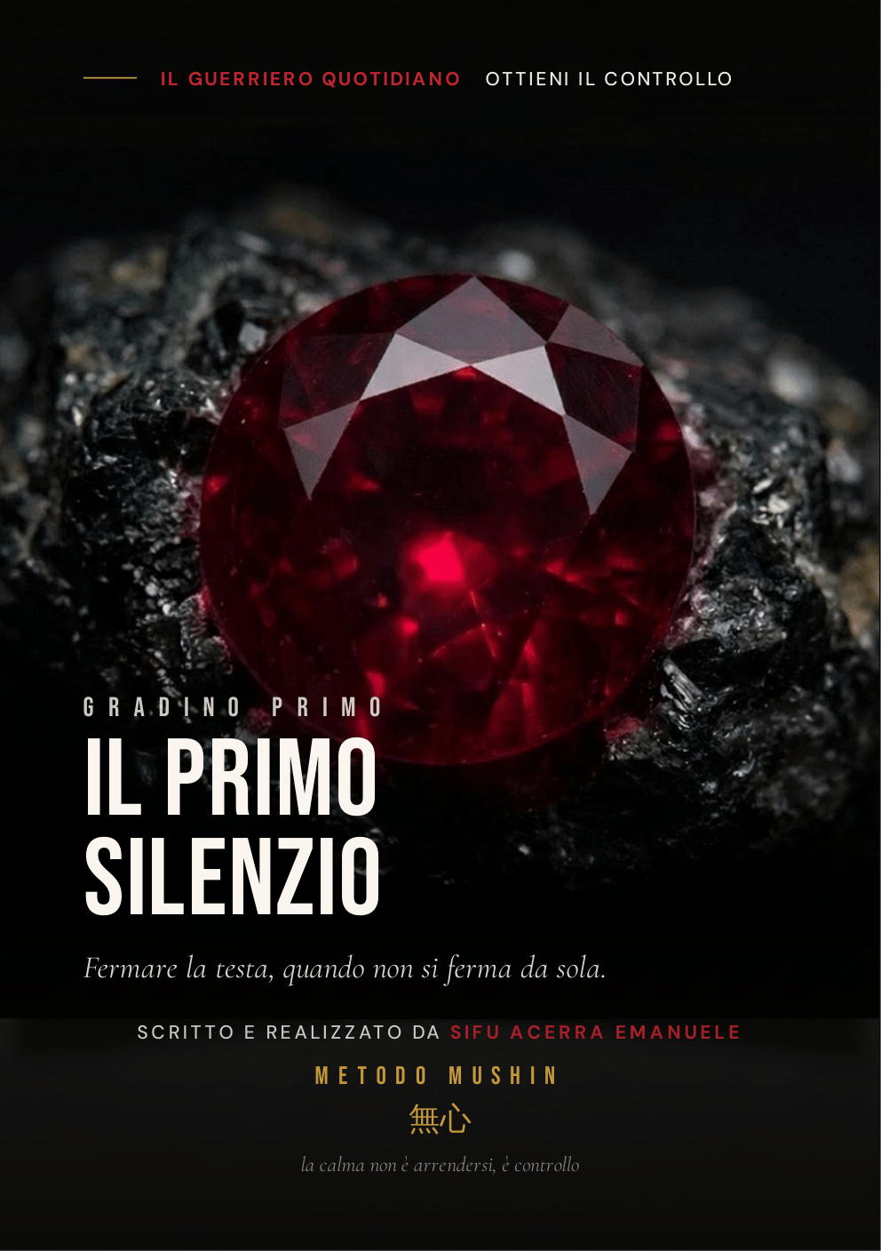 Copertina della guida Il Primo Silenzio, Metodo Mushin