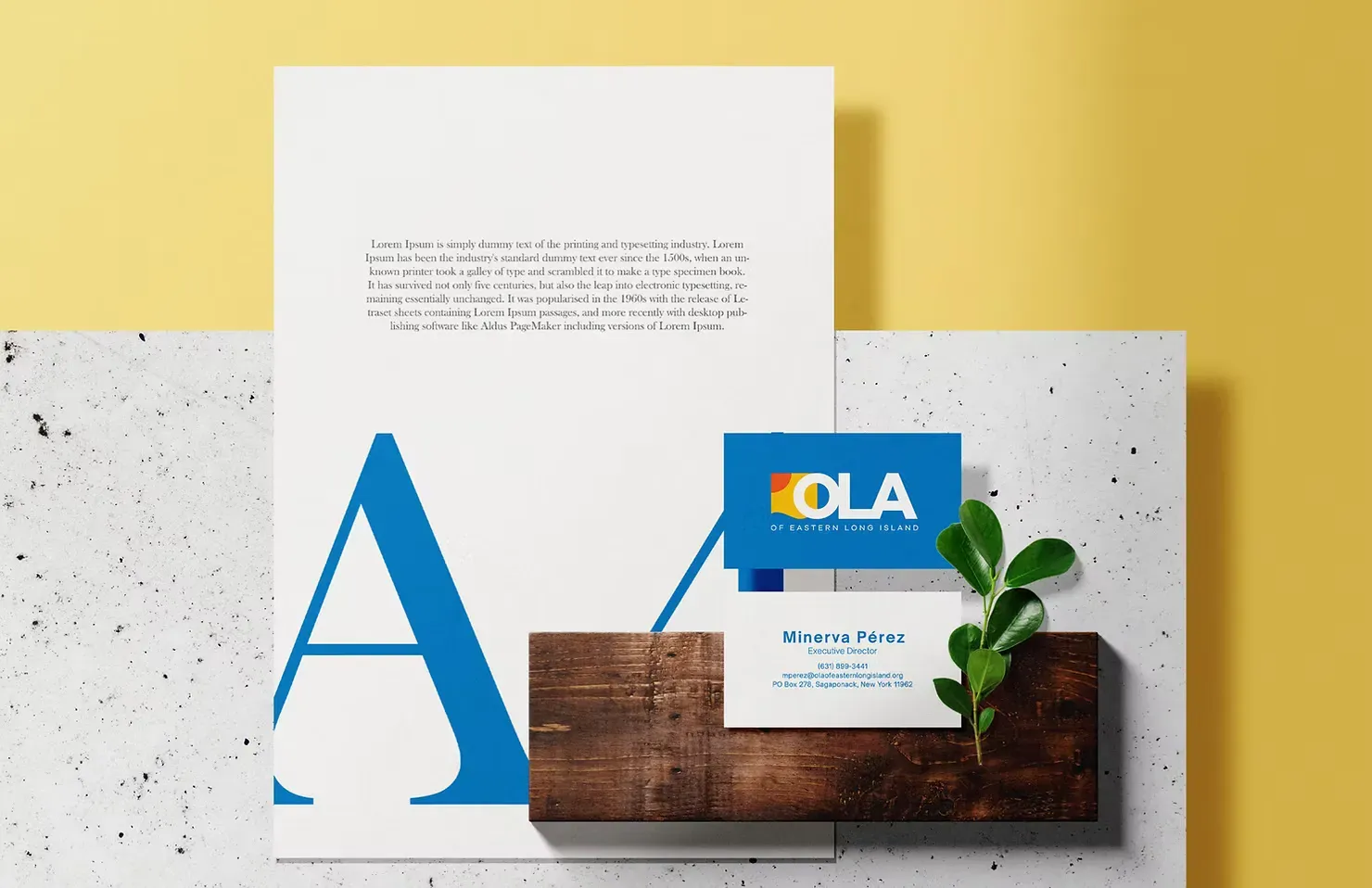 Rebranded OLA logo and business cards showcasing cohesive brand identity