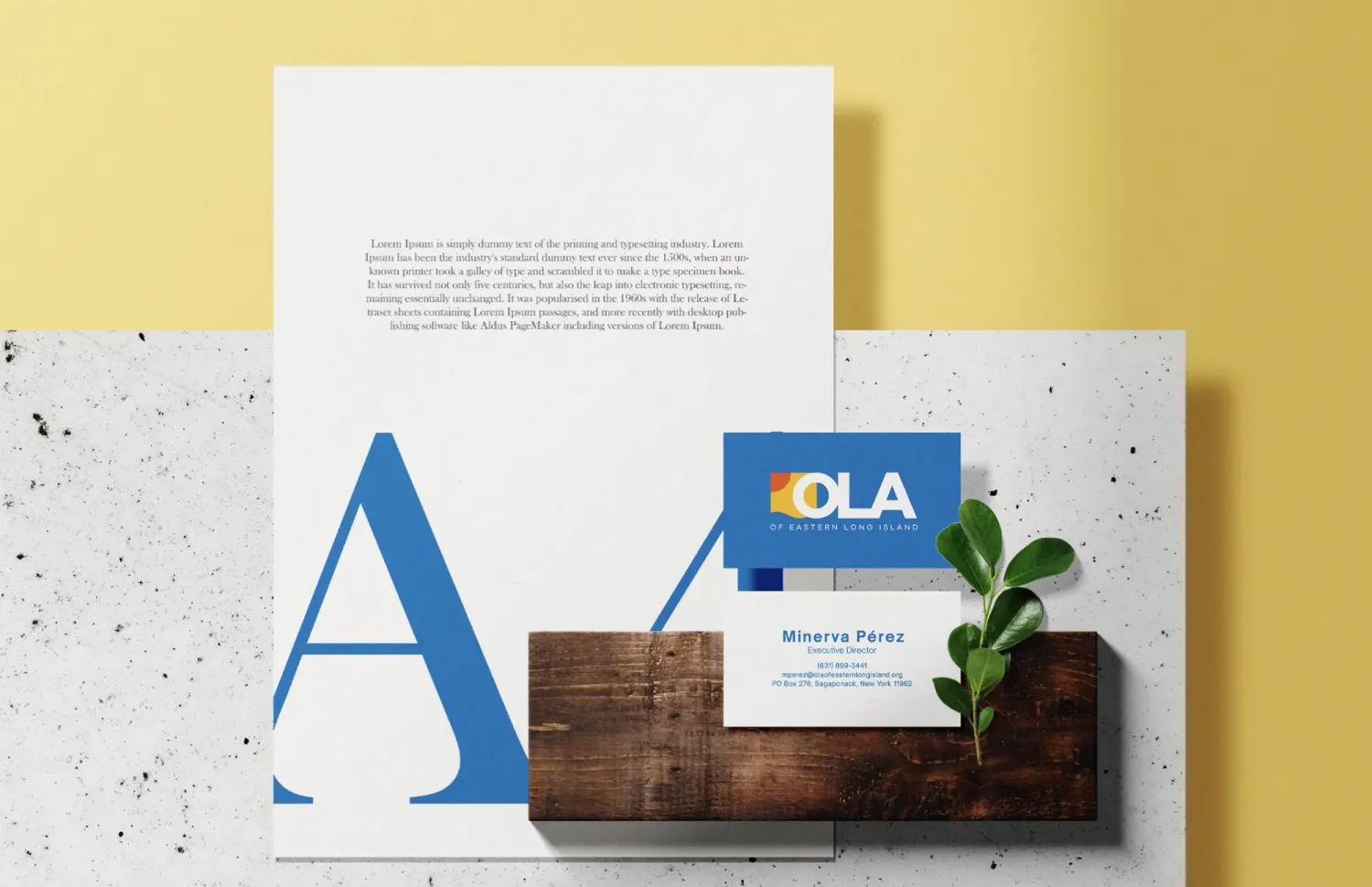 OLA nonprofit brand identity system by Alchemy Effect