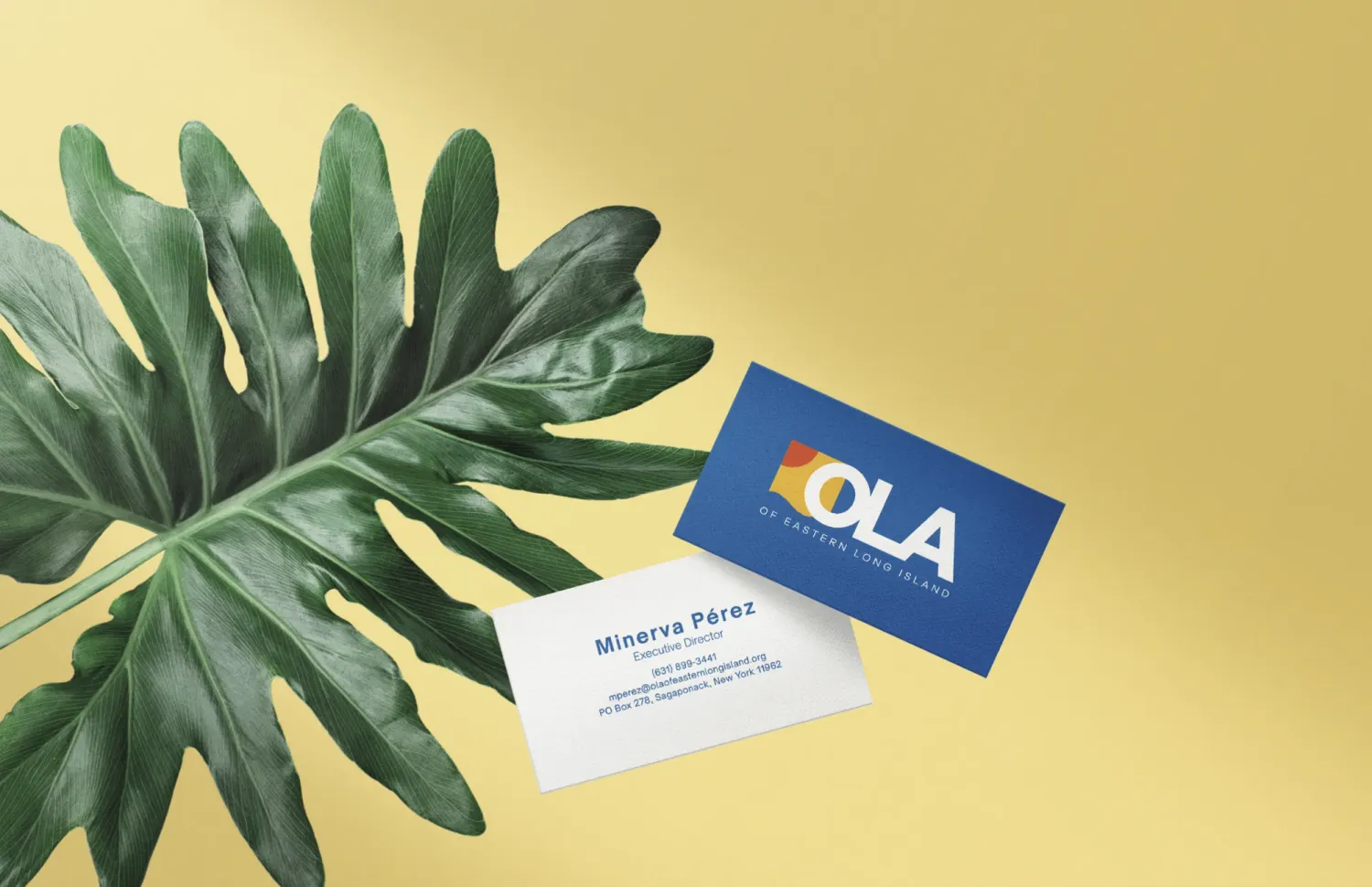 OLA executive business card print design by Alchemy Effect