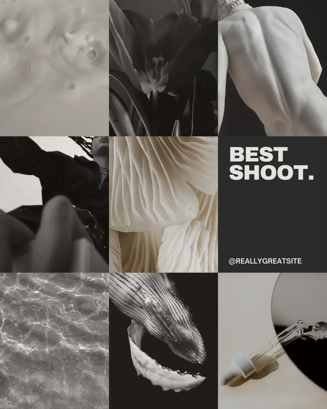 Social Media Content Design