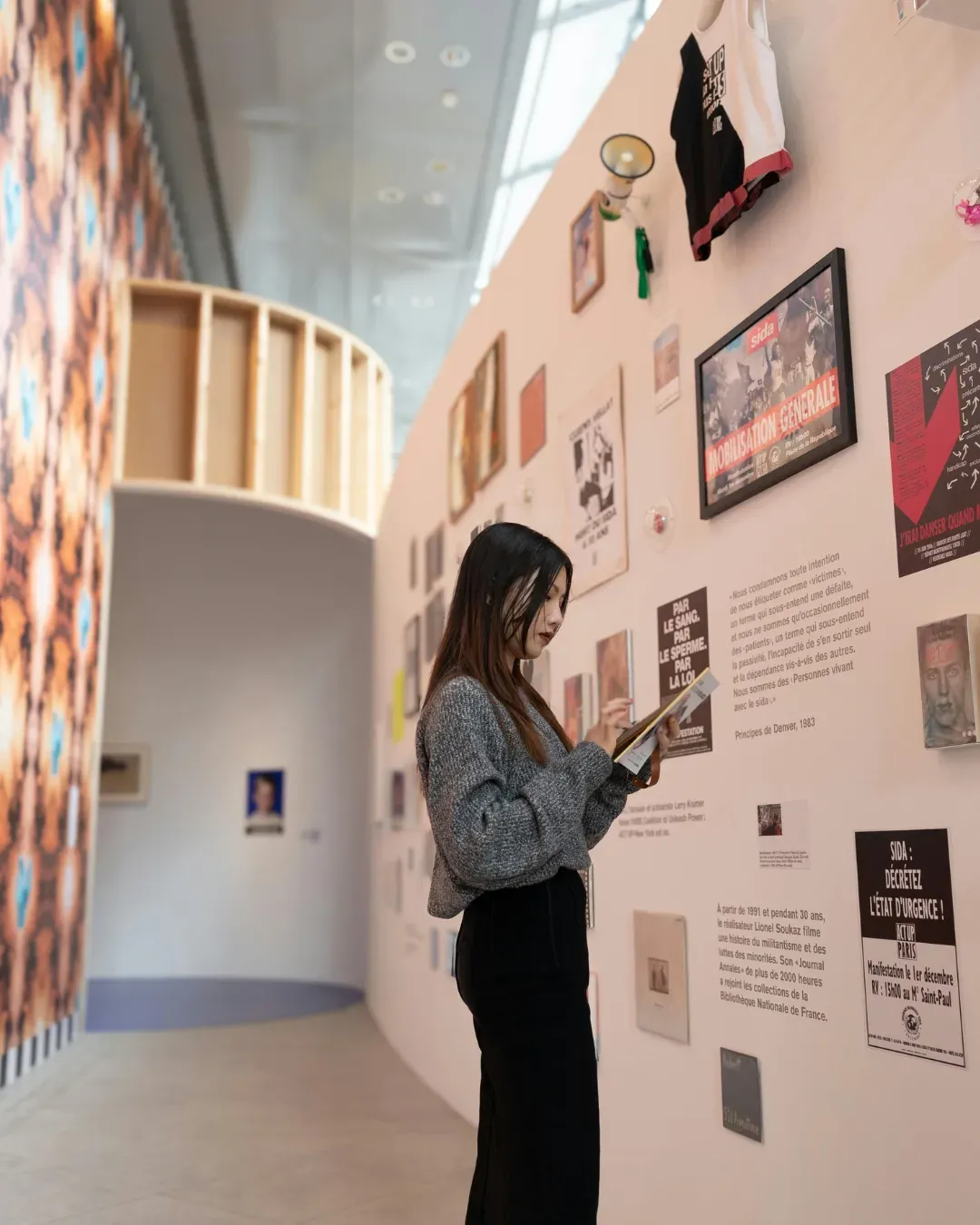 Arts and cultural institution professional