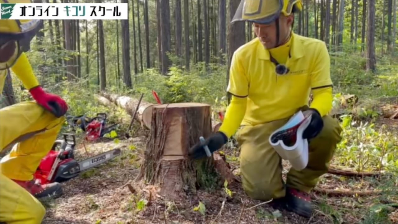 伐木造材実践編 講義映像