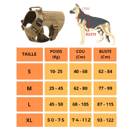 Guide des tailles WoufToy