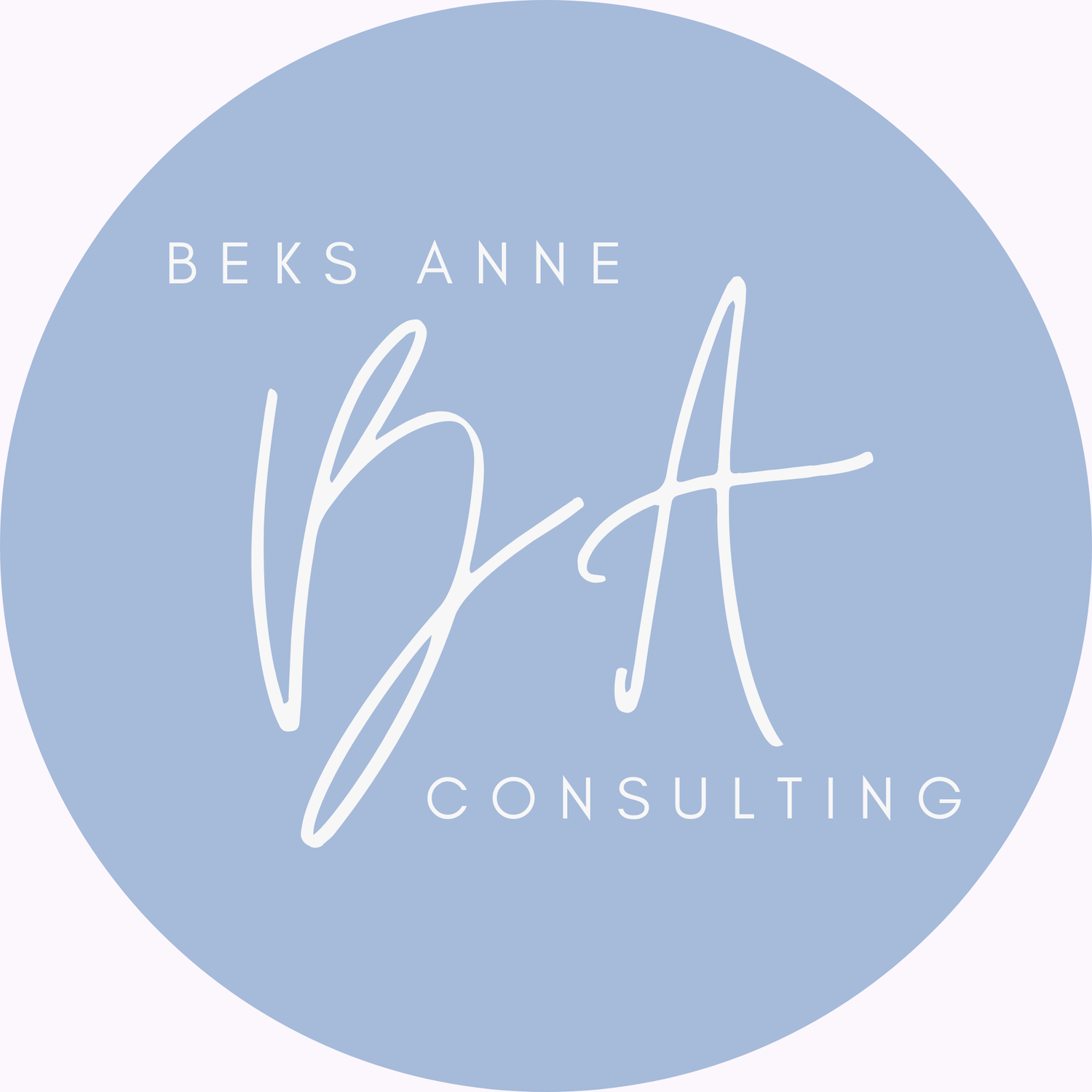 Beks Anne Consulting