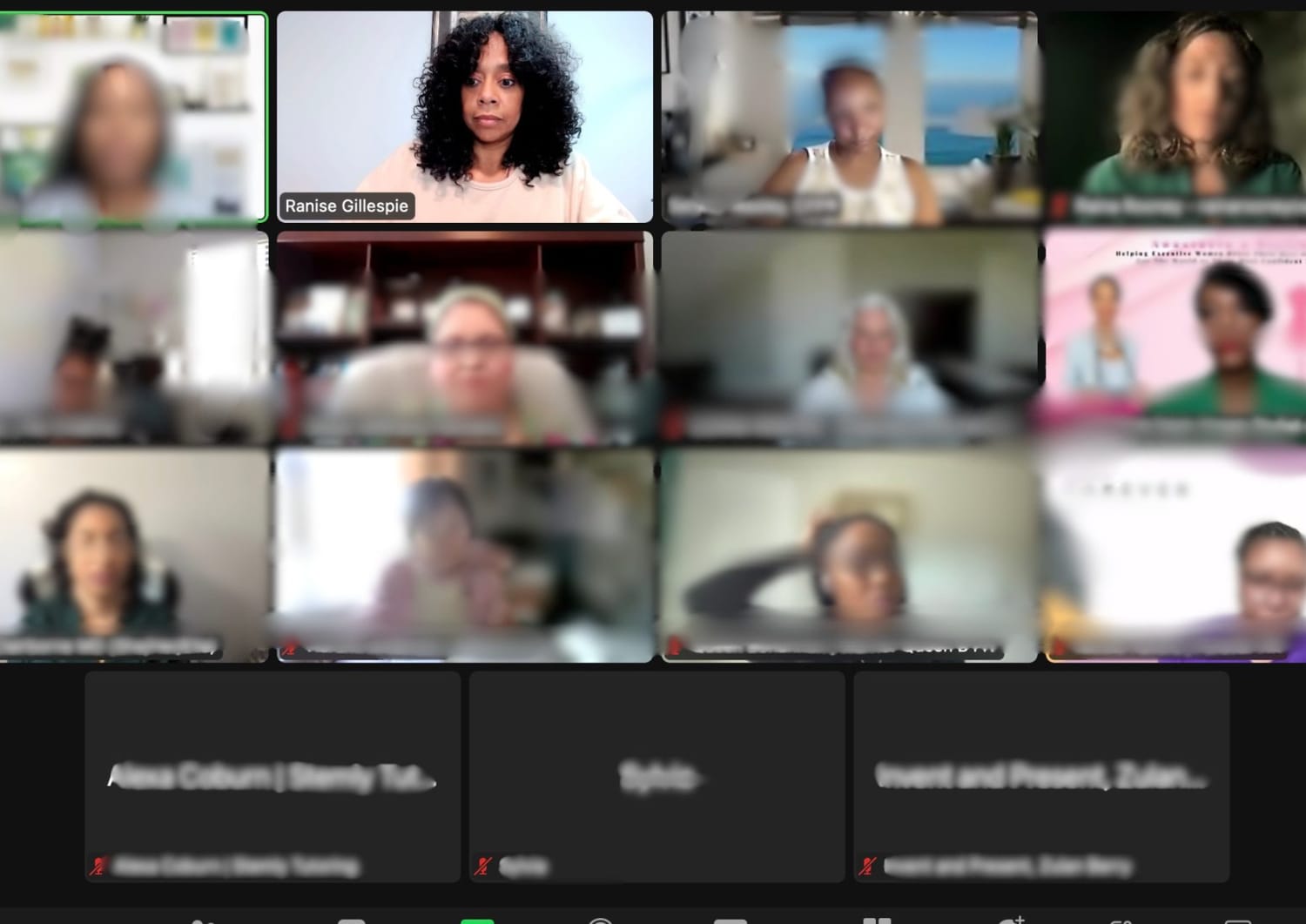Ranise leading a live online session with participants on screen