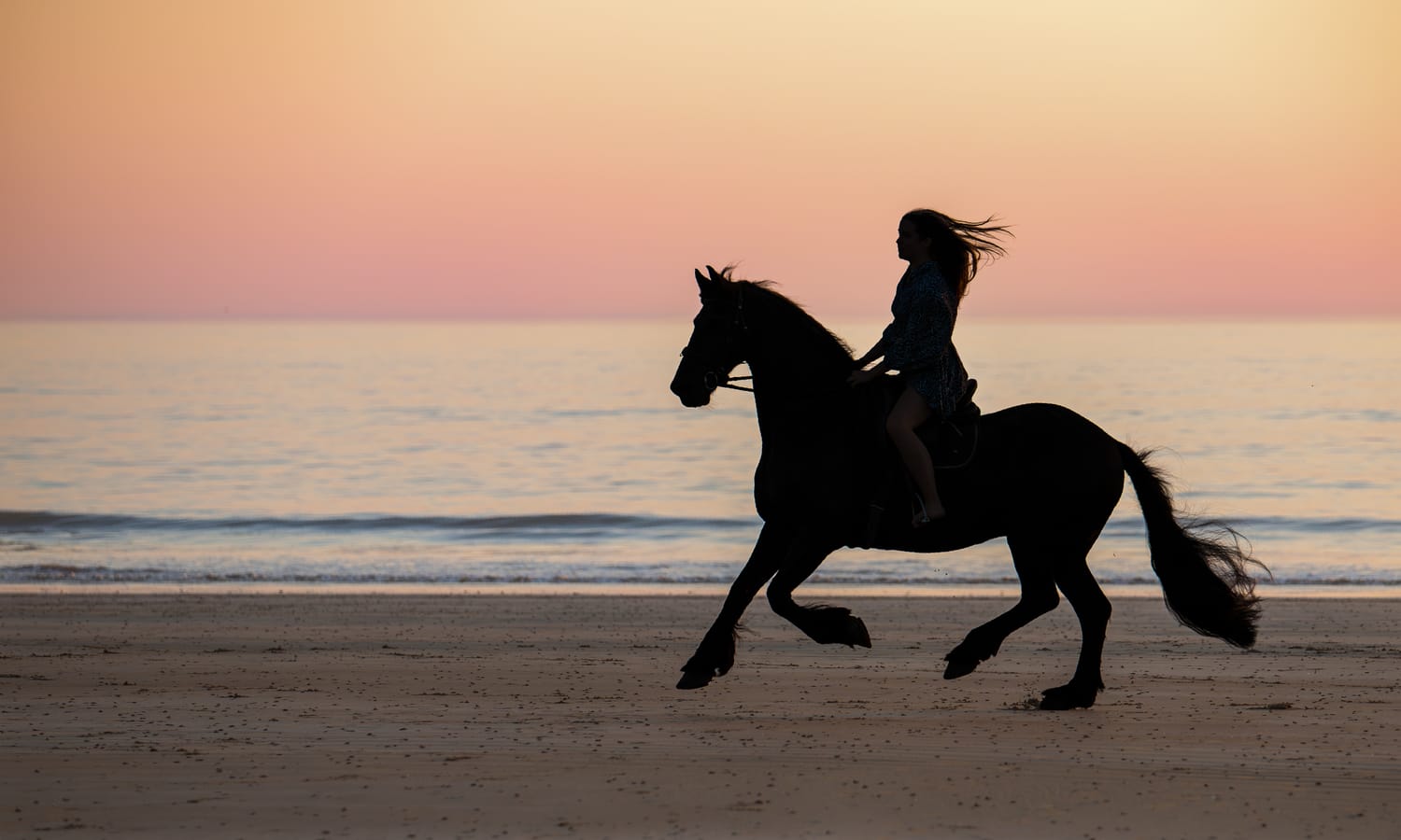 Séance photo avec un cheval à la plage