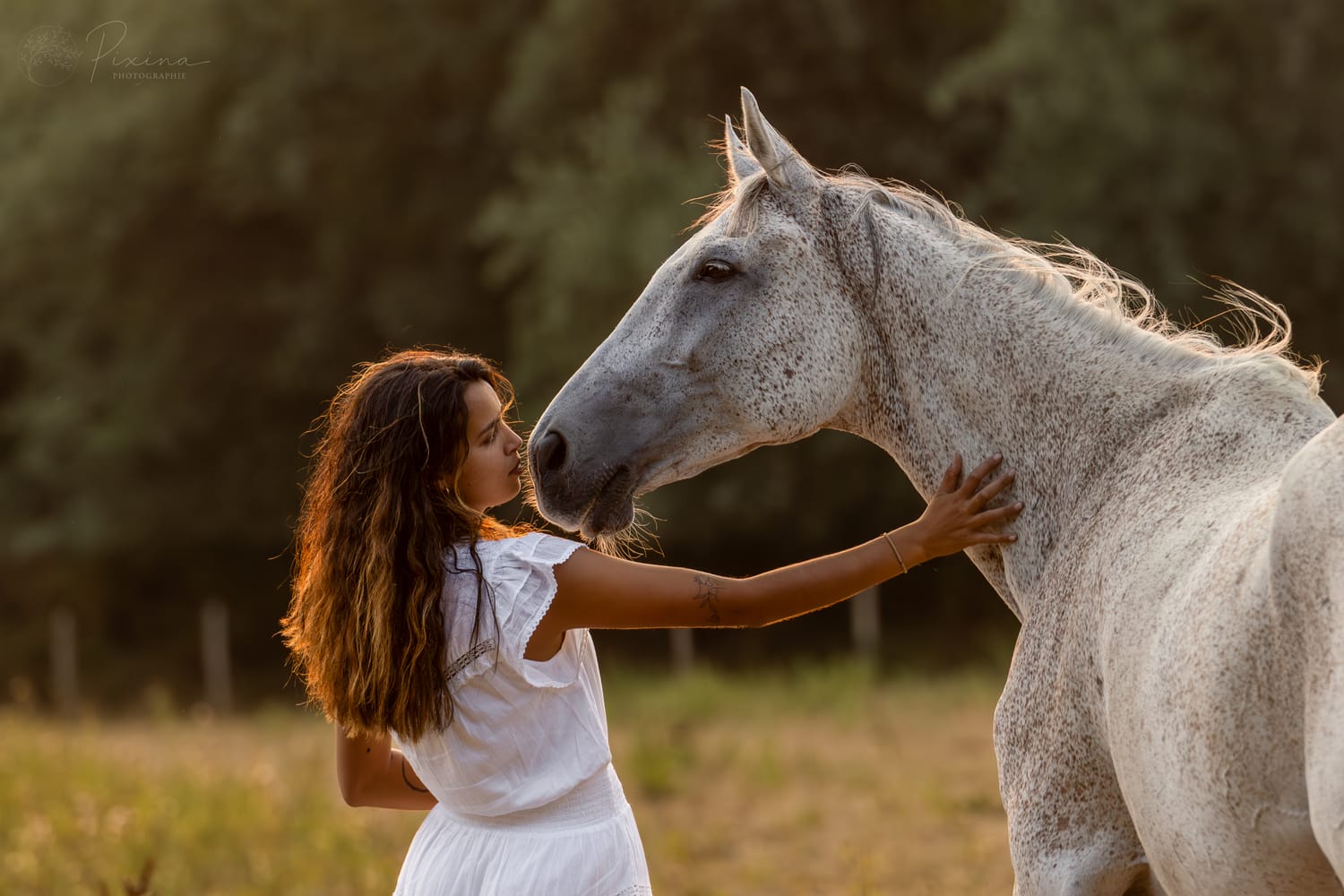 Séance photo avec un cheval
