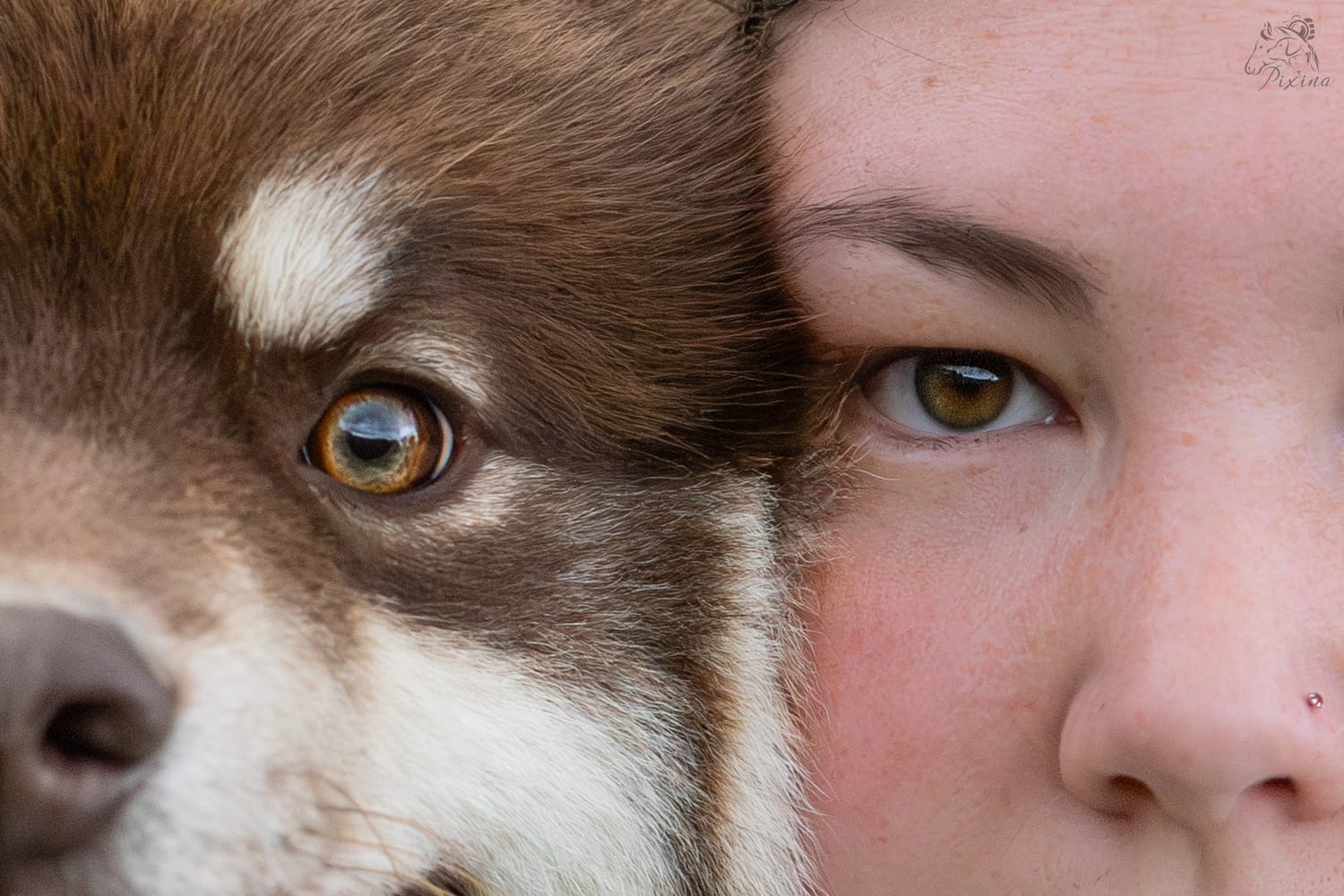 Moment complice avec un chien