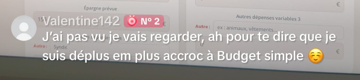Avis Budget Simple : je suis de plus en plus accro