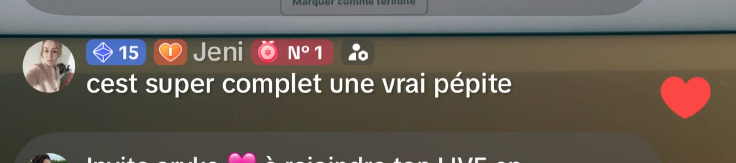 Avis Budget Simple : super complet une vraie pépite