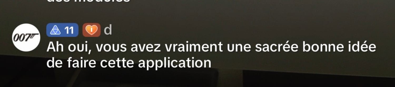 Avis Budget Simple : une sacrée bonne idée de faire cette application