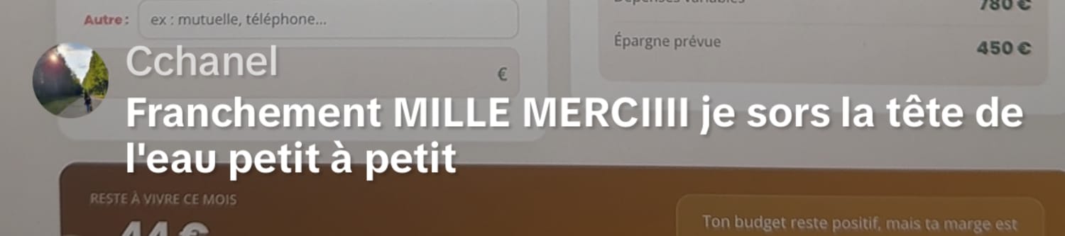 Avis Budget Simple : je sors la tête de l’eau petit à petit