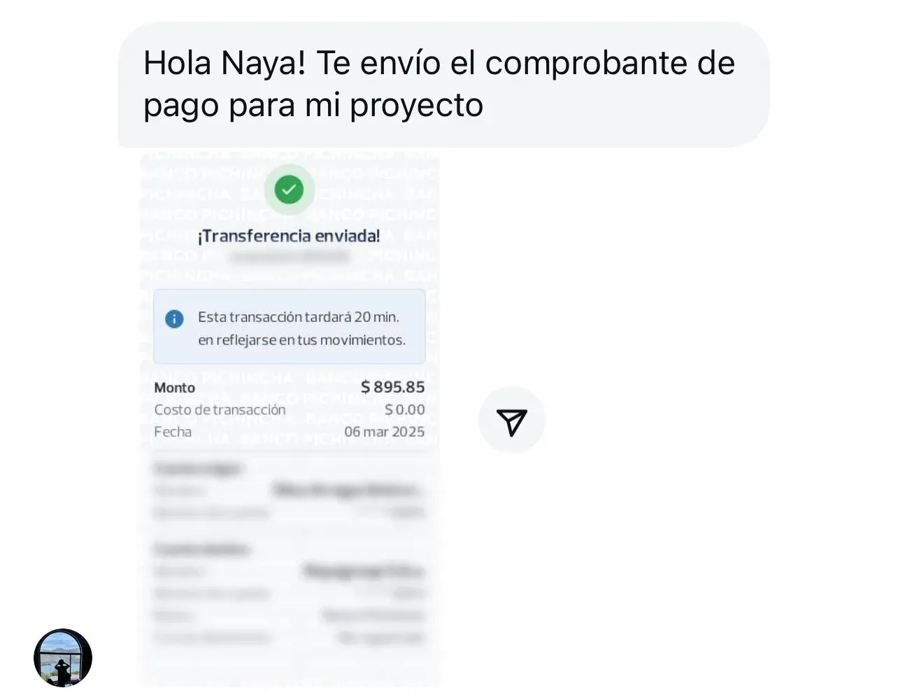 Pago 5