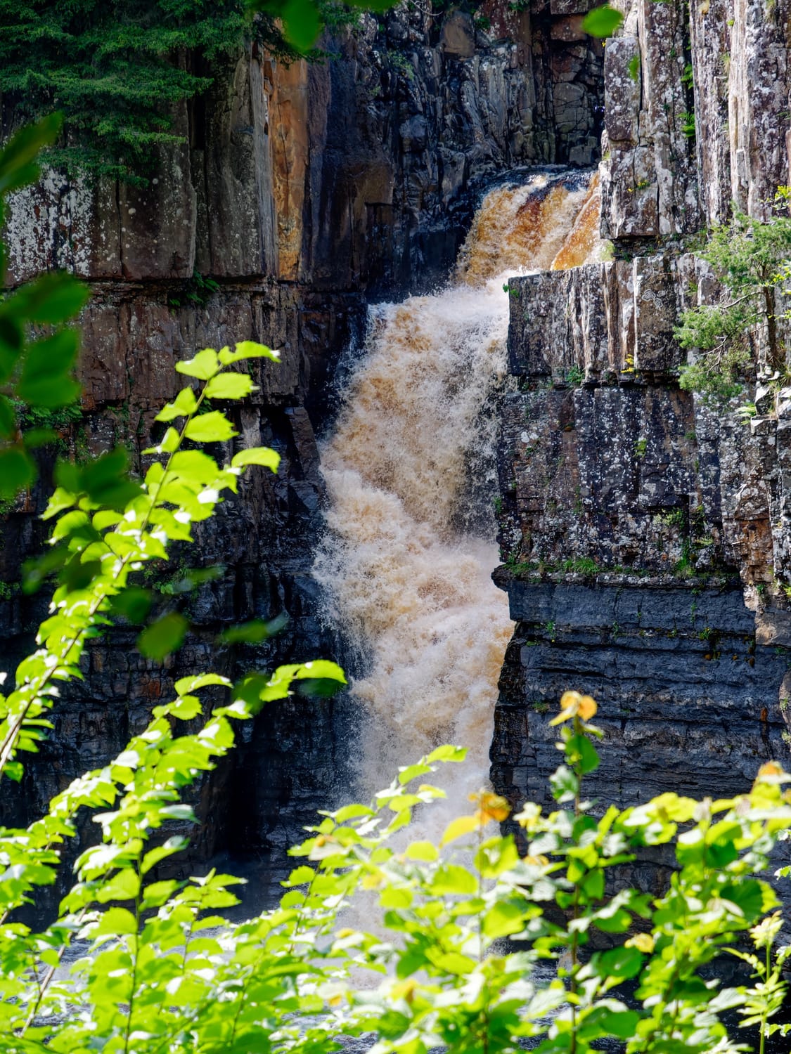 High Force in full flow at midsummer
