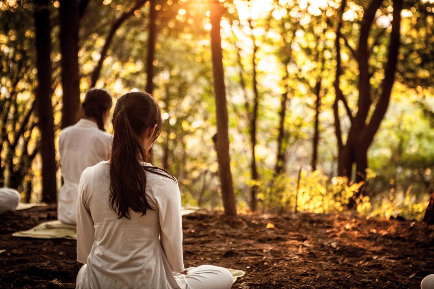 Stillness outdoors