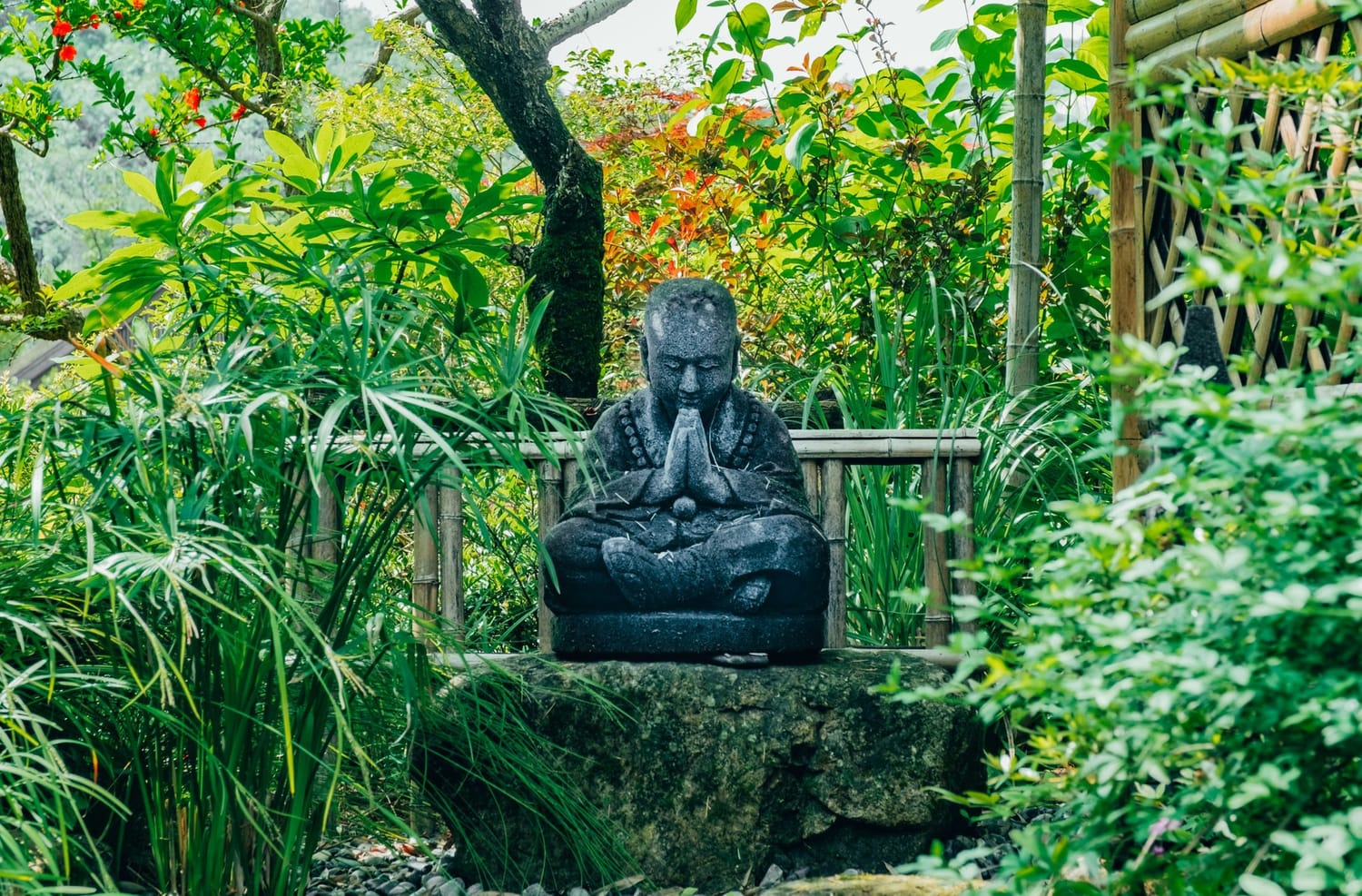 A calm garden setting