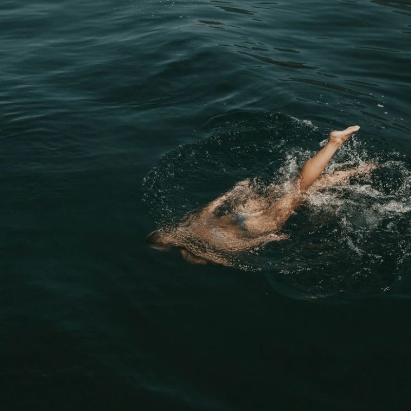 Natation