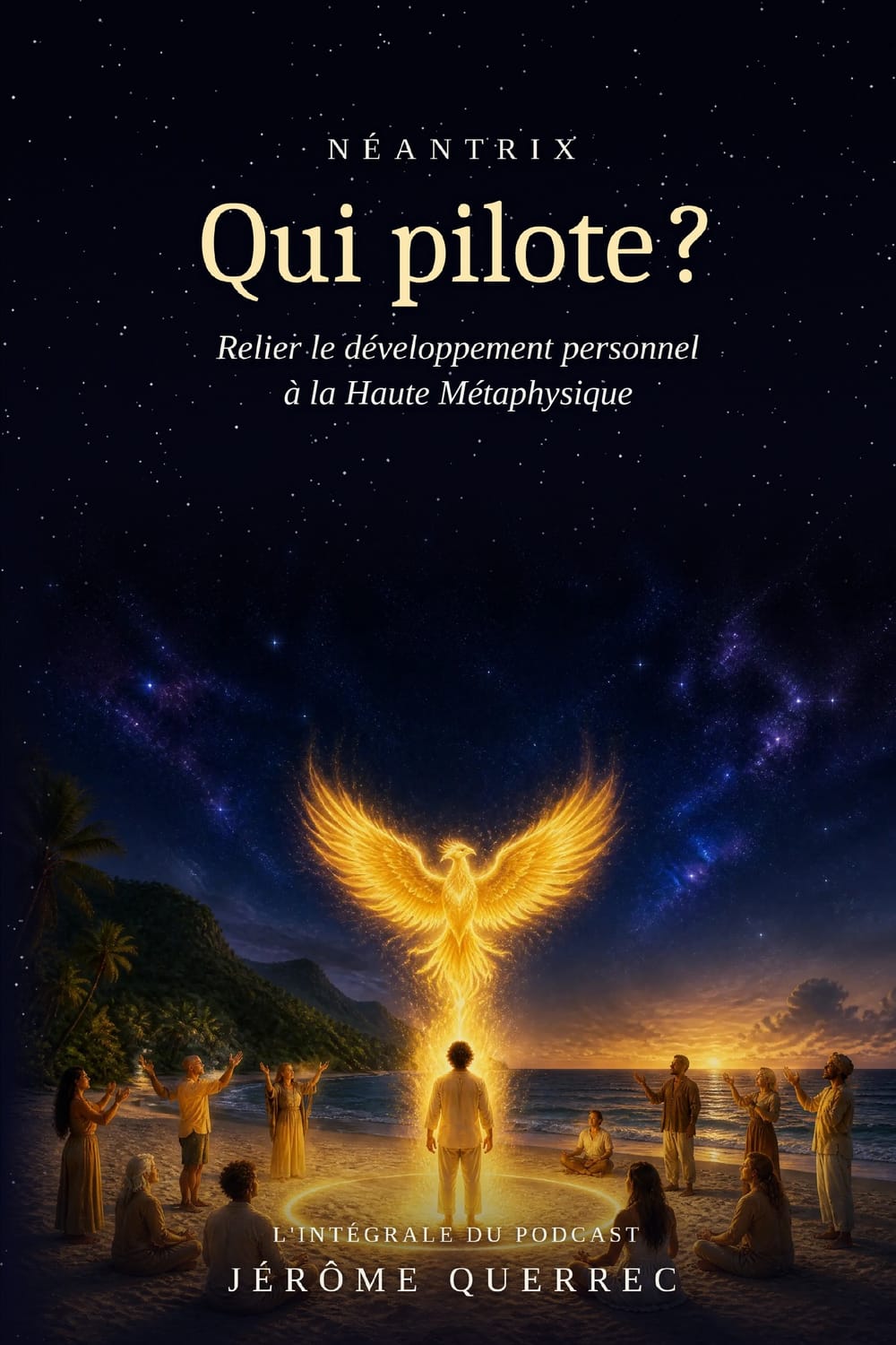 Couverture de Qui pilote ?