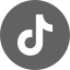TikTok Icon