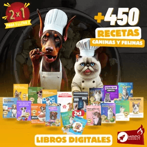 Recetario 2x1 Universo Huellas